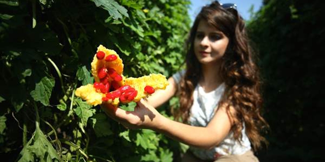 Toprak sevgisi kariyerinden vazge�irdi