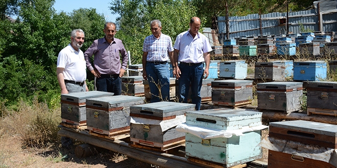 Bal verimi son 10 yılın en düşük seviyesinde