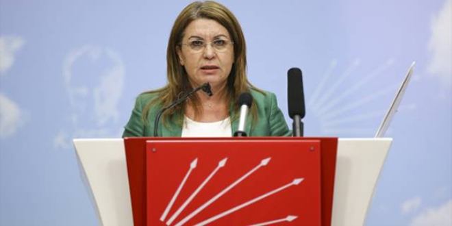 CHP'den 'orman' açıklaması