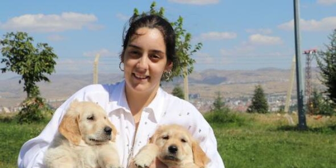 Üniversiteli Burcu, engelliler için rehber köpek eğitiyor