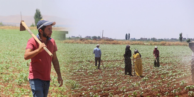 S�resi uzat�lmayan mevsimlik i��iler haber bekliyor...