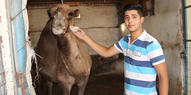 Lise ��rencisi tatilini develere ay�rd�