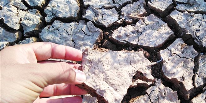 'Vahşi sulama' toprağa ve ürüne zarar veriyor