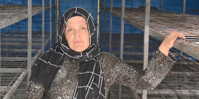 Dolandırıldığını iddia eden girişimci yardım bekliyor
