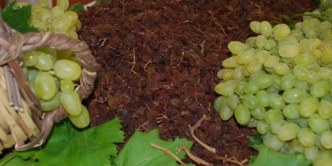 Yaşı da kurusu da şifa kaynağı 'Üzüm'