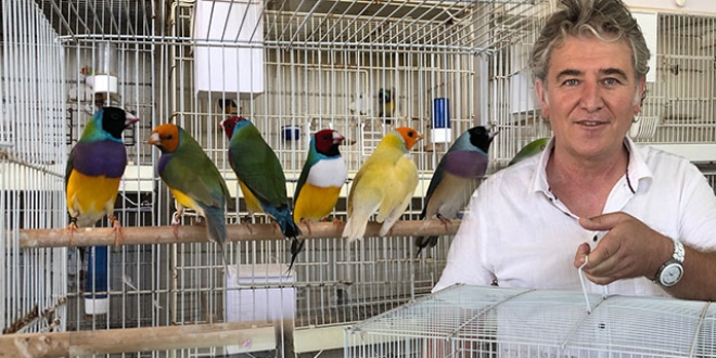 Öğretmen,evinde yaklaşık 500 kuş besliyor