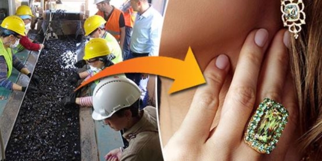 Dünyada sadece Milas'ta çıkarılıyor!