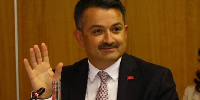 Rusya'nın yangın söndürme uçakları Türkiye'nin radarında