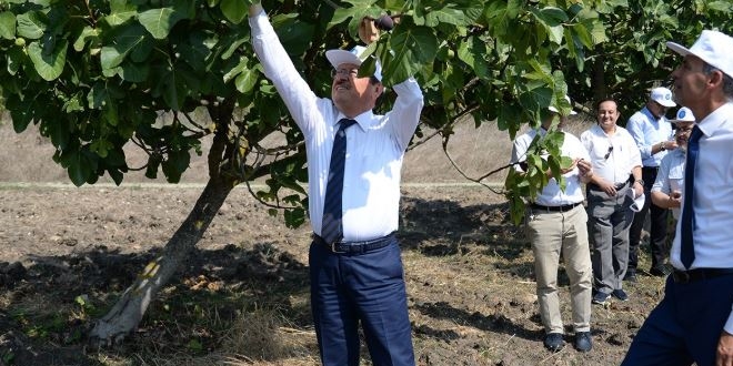 �niversite y�netimi tarlada