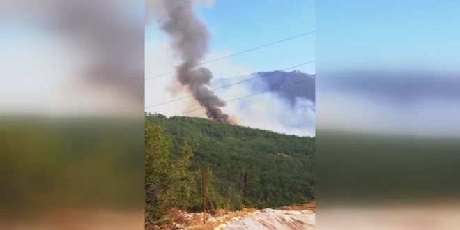 Kaş'ta orman yangını, müdahele ediliyor