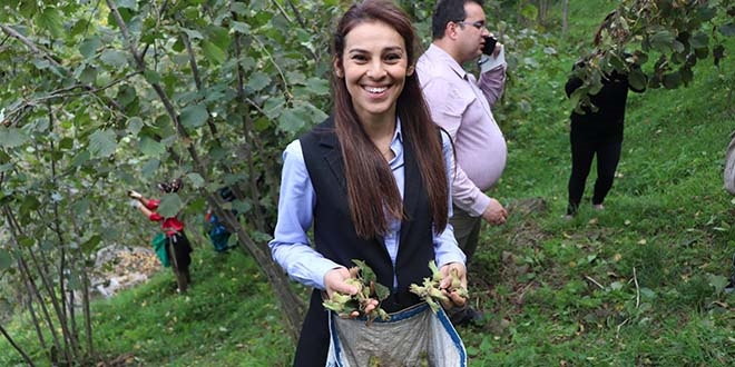 Kadın kaymakam işçilerle fındık topladı