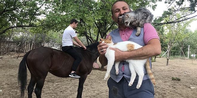 Doktor evinin bahçesinde at, kedi, ve köpek besliyor