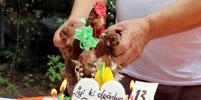 13 yaşında telef olan 'Şaşkın'a gözyaşı