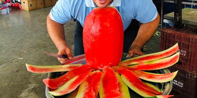 Karpuzların efendisi