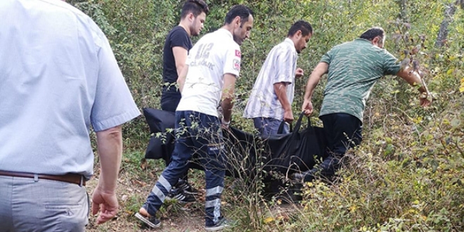 Ceviz ağacından düşen yaşlı kadın hayatını kaybetti