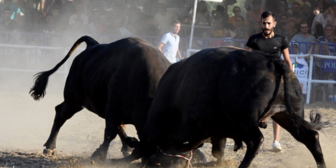 �spanya de�il, Mu�la