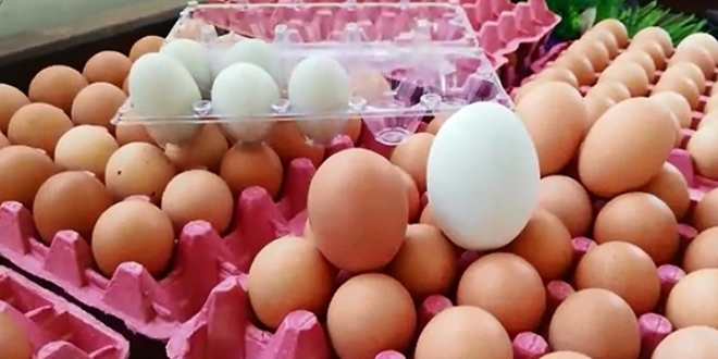 156 gramlık yumurta şaşırtıyor