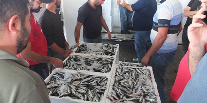 Kasa kasa geliyor, kilo kilo satılıyor