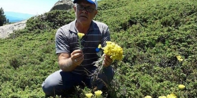 Bu ot yılda sadece bir ay yetişiyor