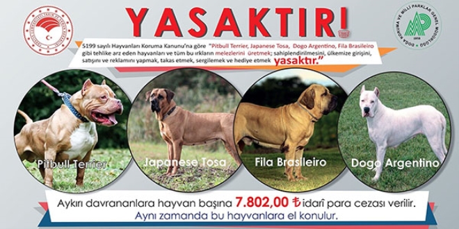 Bu hayvanların ülkeye girişi, satışı ve sahiplenilmesi yasak