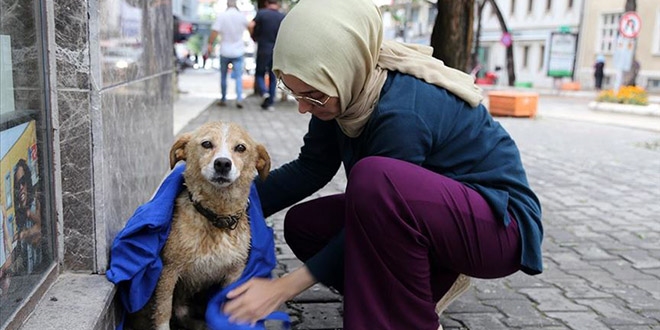 Ya�murda �slanan k�pe�i k�yafetiyle kurulad�