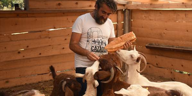 Hayalindeki yaşamı köyünde buldu