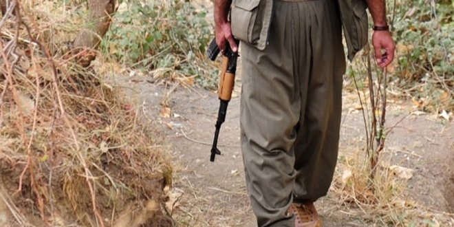 Tunceli'de 1 terörist, silahıyla birlikte etkisiz hale getirildi