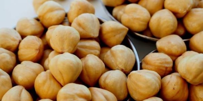 Fındık yaraları da iyileştiriyor