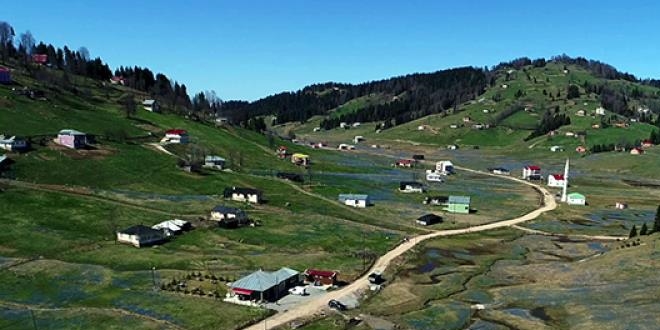Rize Valisi: Yol yapılan yaylalar kirletiliyor