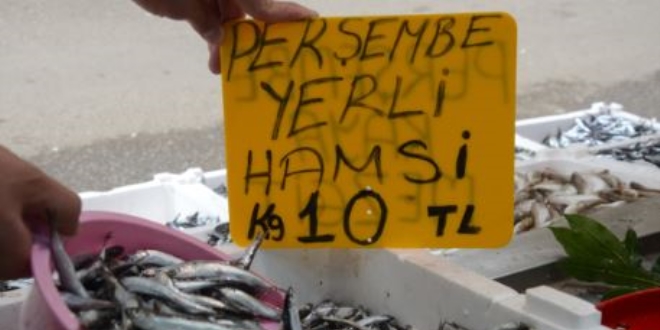Denizde hamsi bereketi, kilosu 10 liraya d��t�