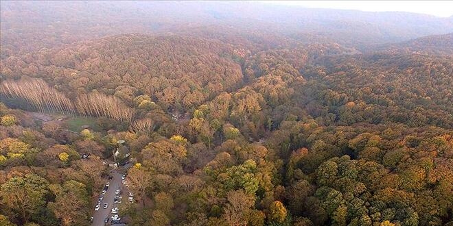 İstanbul ormanlarındaki 315 kaçak yapı yıkıldı