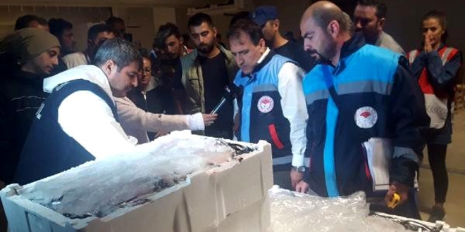 Balık boyu denetimine takılan 2 ton balığa el konuldu