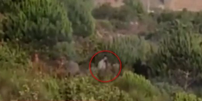 Pendik'te orman yang�n� ��kard��� gerek�esiyle bir ki�i g�zalt�na al�nd�