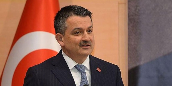 'Pendikteki yangında terör bağlantısı tespit ettik'