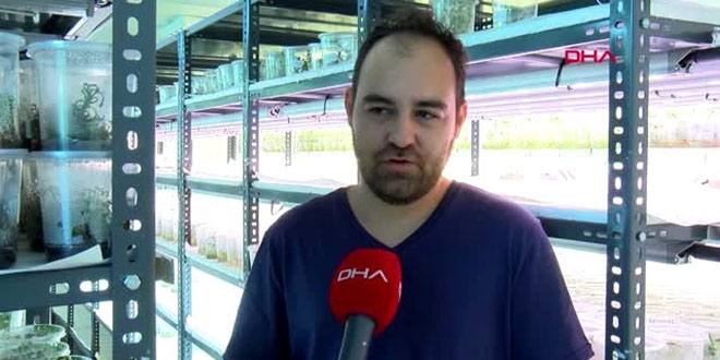 Atık suyla ısıtılan seradan yurt dışına patates tohumu