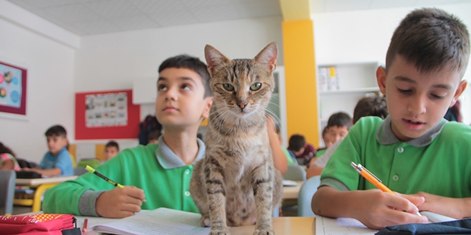 Derste ��renci, teneff�ste anne