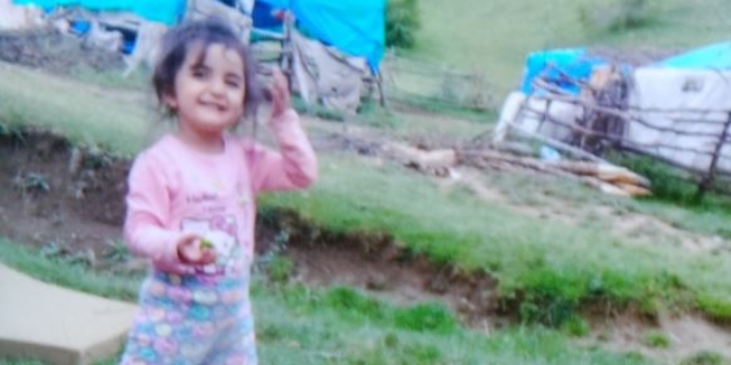 Minik Evrim'den 439 gündür haber alınamıyor