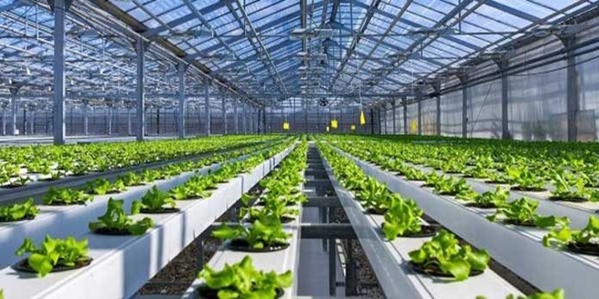 Teknoloji seraları için teşvik geliyor