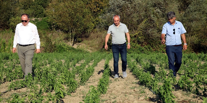 Öğretmen öncü oldu, şimdi siparişlere yetişemiyorlar