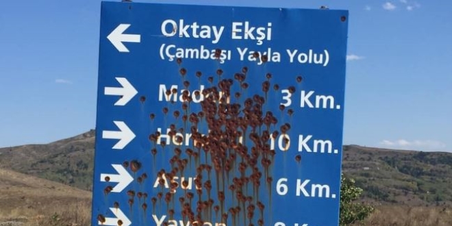 Ordu'da tabelalara 'maganda' kur�unu