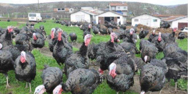 K�rsal kalk�nma destek s�resi uzat�ld�