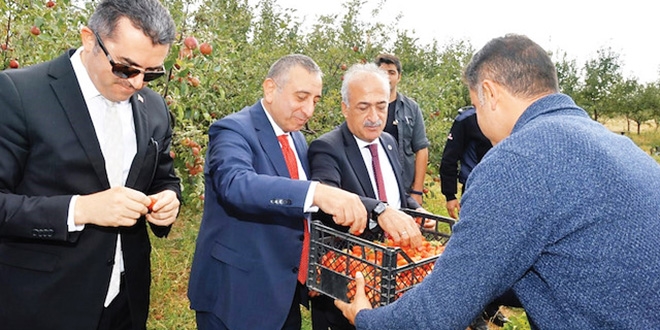Bu cezaevinde her şey organik