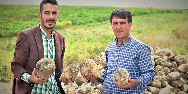 Üniversite mezunu genç çiftçi babasıyla tarım yapıyor