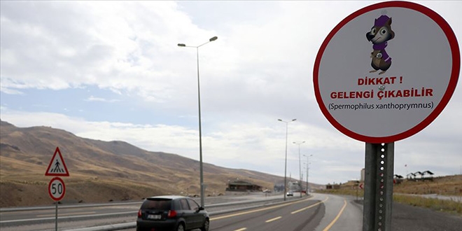Elif'in elektronik postası gelengilere hayat olacak