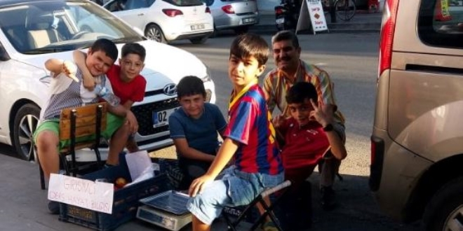 Öğrenciler girişimcilik dersinde domates sattı