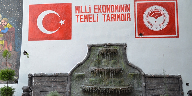 Kamu binas� botanik bah�eye �evrildi