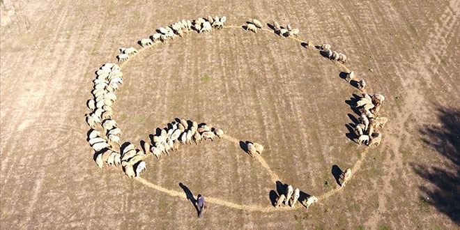 Ekonometrist �obandan s�rad��� uygulamalarla y�ksek gelir