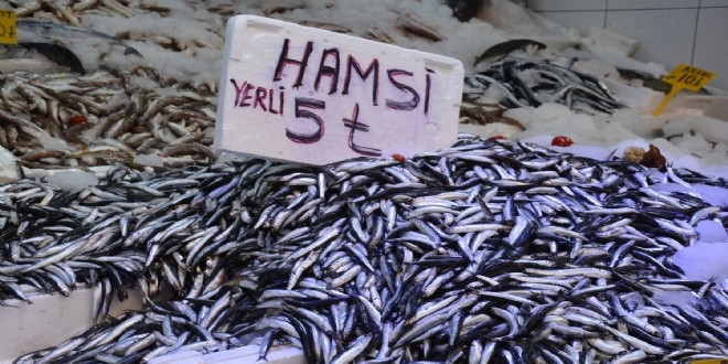 Hamsinin fiyatı 5 liraya kadar geriledi