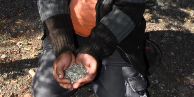 40 yıl sonra ilk hasat! Kilosu 300 Euro'dan satılacak