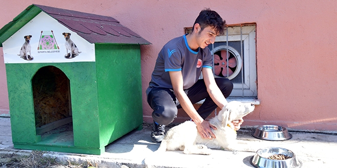 Bakan Selçuk'un çağrısı karşılık buldu, okullar hayvan sahipleniyor